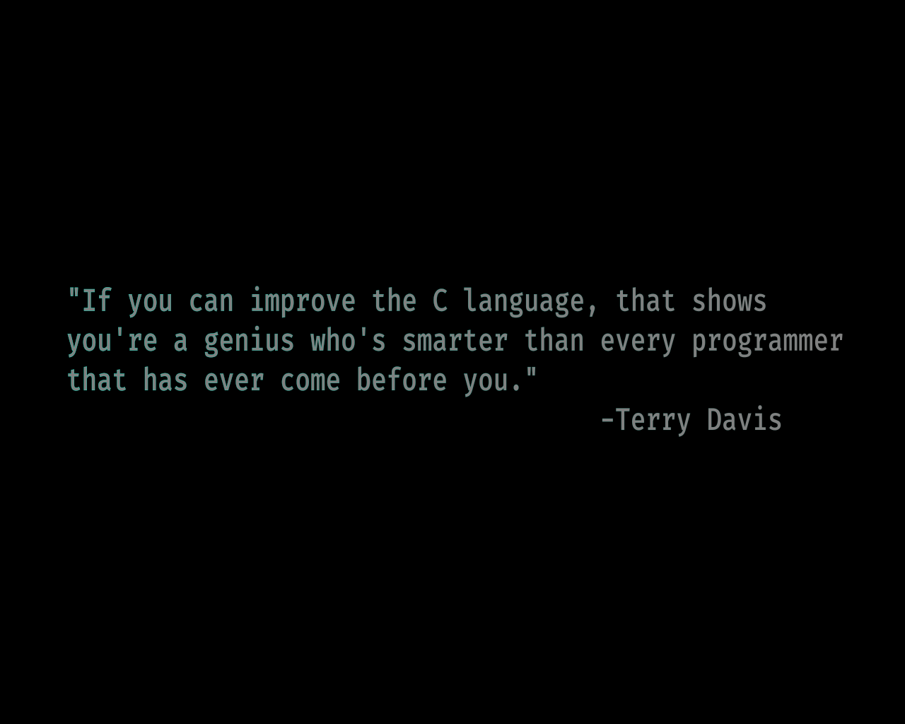 A Famous quote from Terry Davis